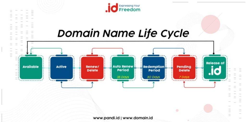 domain life cycle