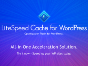 cara setting litespeed cache