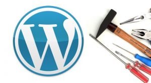 cara setting wordpress