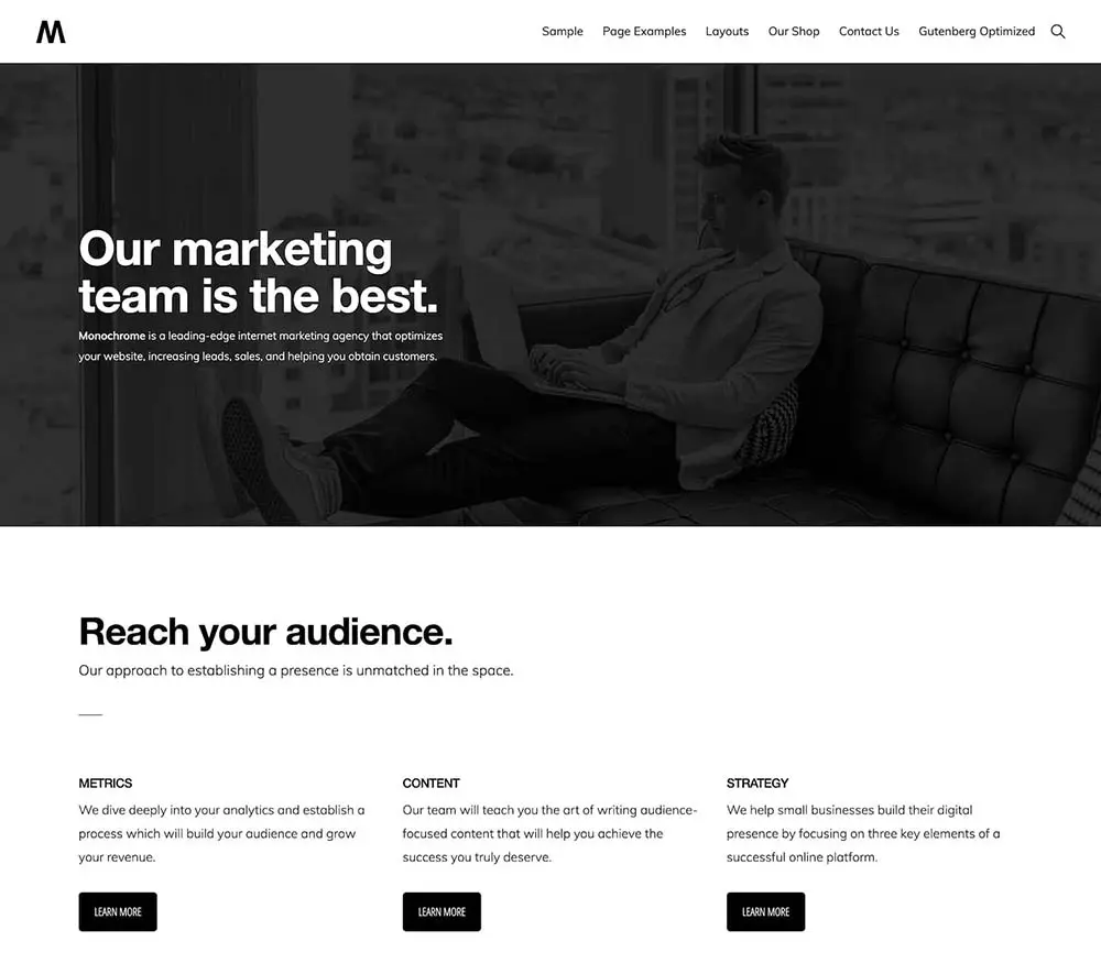 Koleksi Desain Website Premium 5 monochrome pro.jpeg